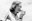 lovinghighsmith_presse_03_ellenrifkinhillcourtesyswisssocialarchives.jpg