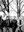 NakedLunch aif presse sw 06 IngoPertramer