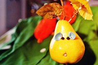 Birne Helene Foto
