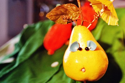Birne Helene Foto