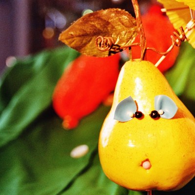 Birne Helene Foto