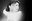 Oska_c_Tim_Cavadini_DSC08889_web.jpg