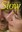 P_SLOW_1000px_web_3.jpg