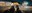 SpaceDogs_Still_01_MainStill.jpg
