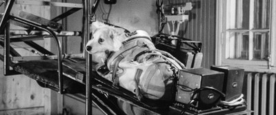 SpaceDogs_Still_09.jpg