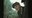 A-scene-from-the-film-Shoah.jpg