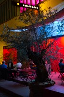 Spielboden_Terrasse20-c-NiklasKoch-0566.jpg