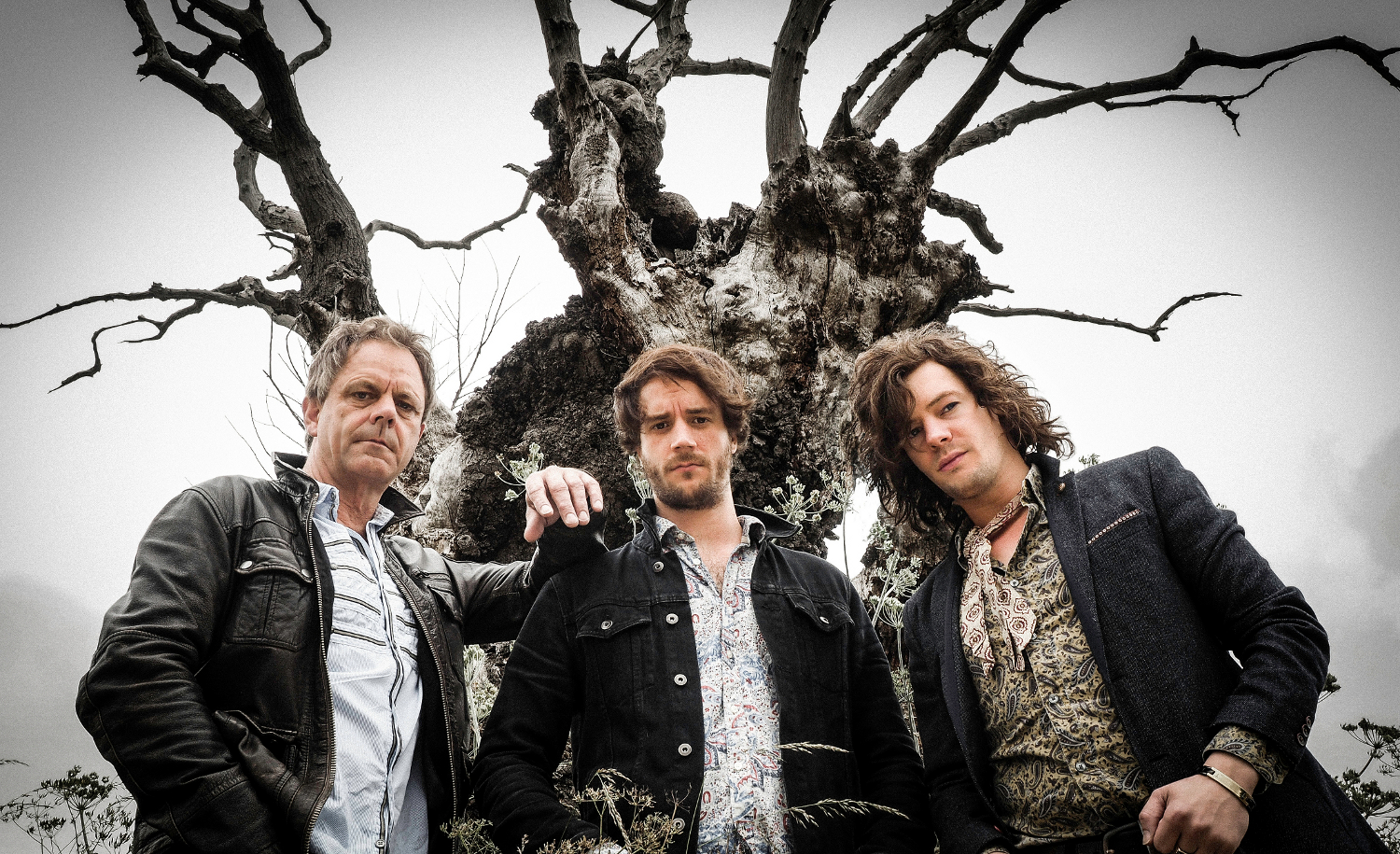 The Brew press 2 by Tony Mottram