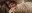 End of Meat