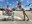 Florida Project2