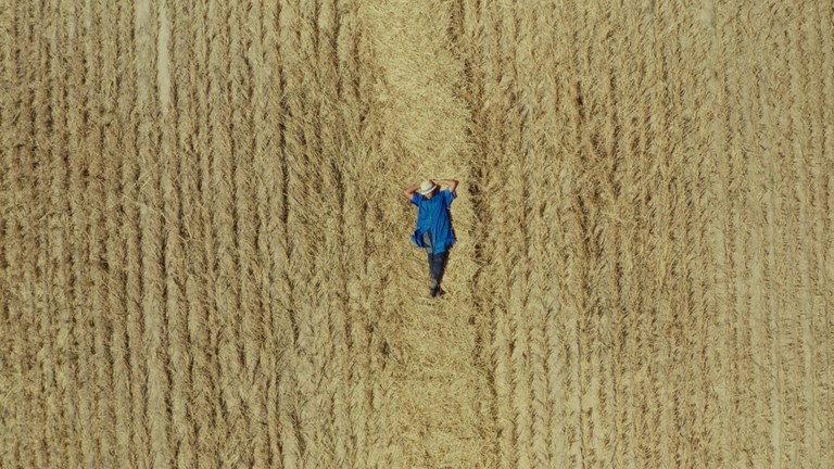 Toxic Harvest © Rosa Luxemburg Stiftung.jpg
