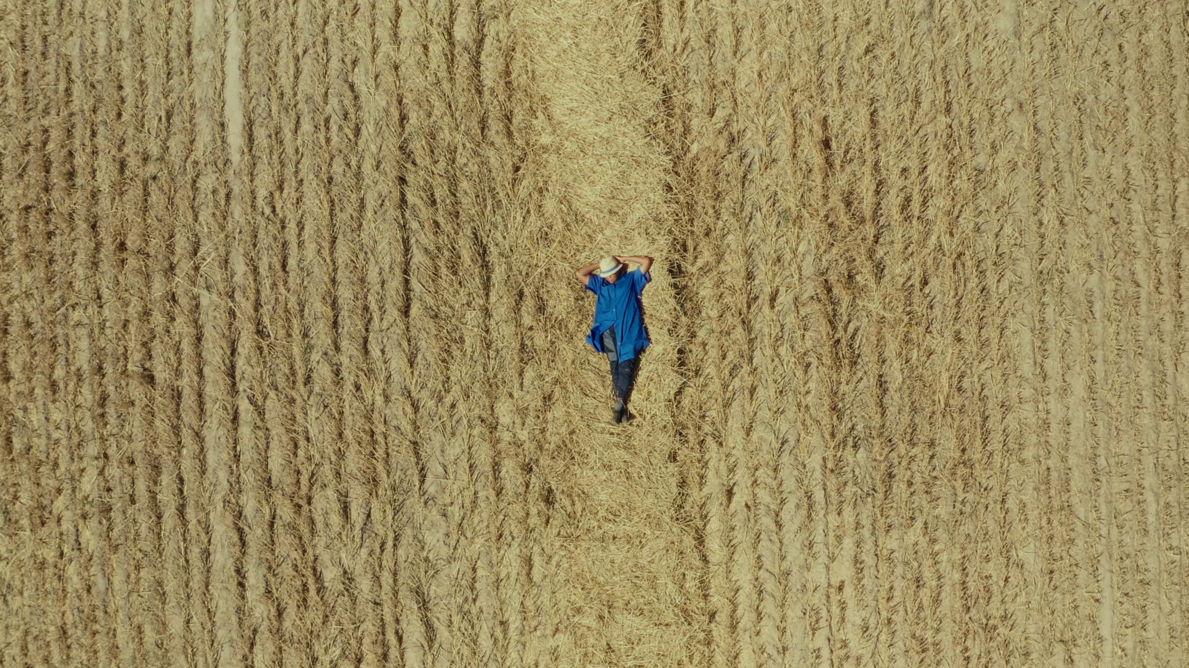 Toxic Harvest © Rosa Luxemburg Stiftung.jpg