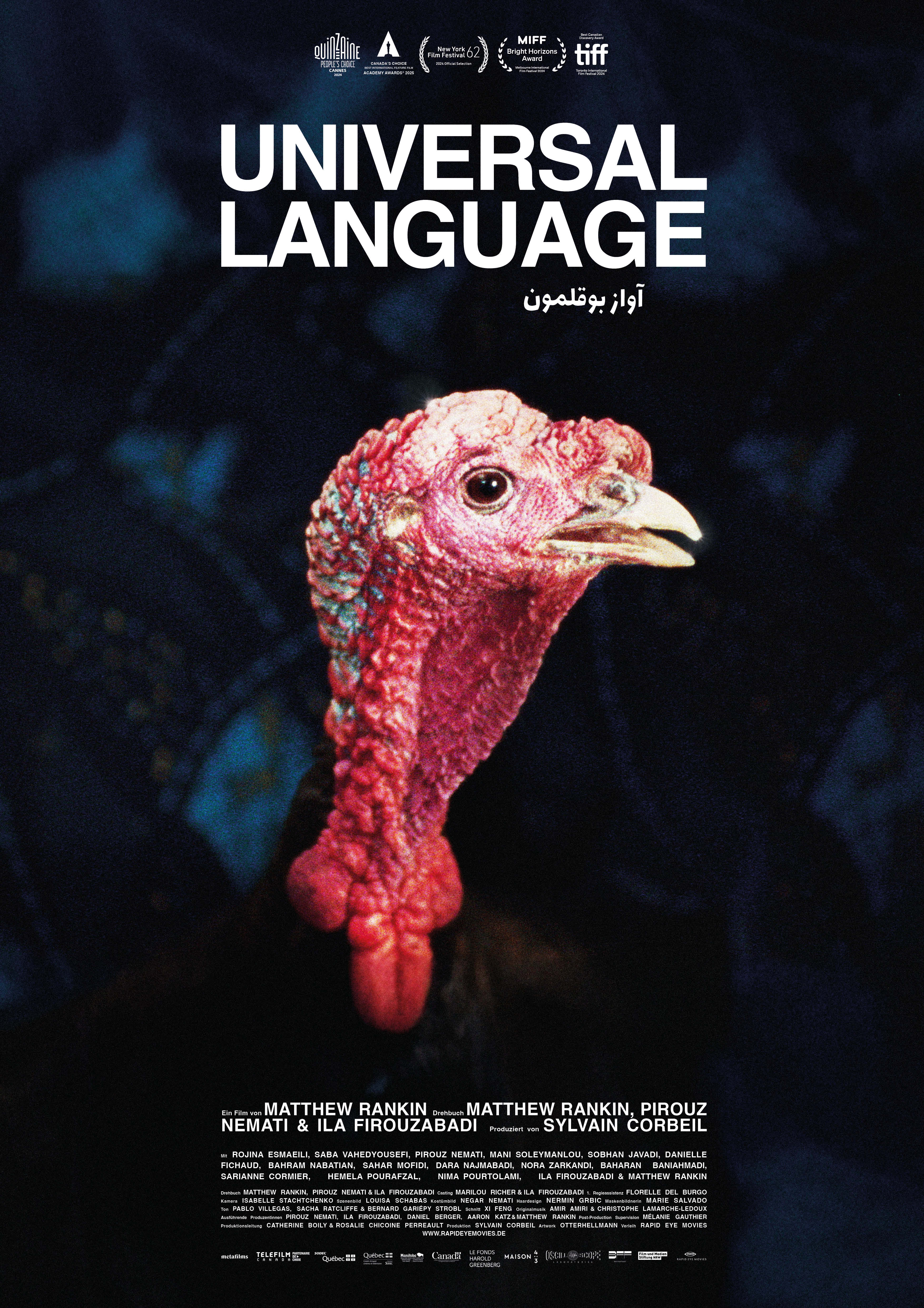 Universal_Language_Still_©Filmladen Filmverleih.jpg