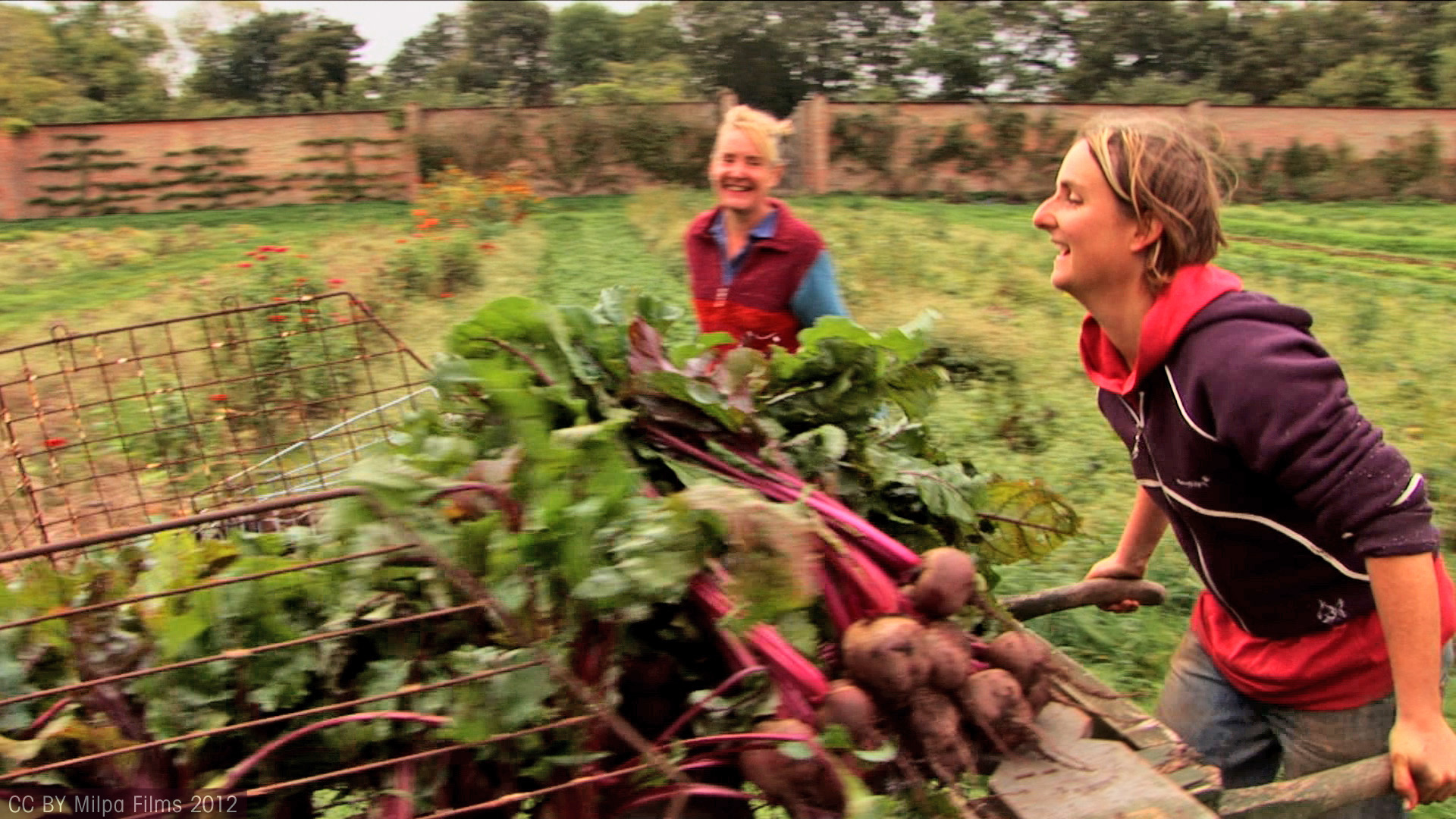 VoicesOfTransition Foto