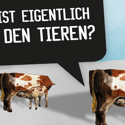 FB WasIstEigentlich