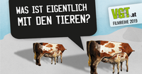 WasIstEigentlich2