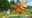 Zogg2©magiclightpictures.jpg