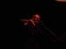 DSC02359.jpg