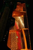 IMG_7783.jpg