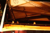 IMG_1194.jpg