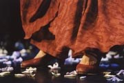 Flamenco