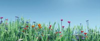 Sommerfrische Festival - Literatur & Film