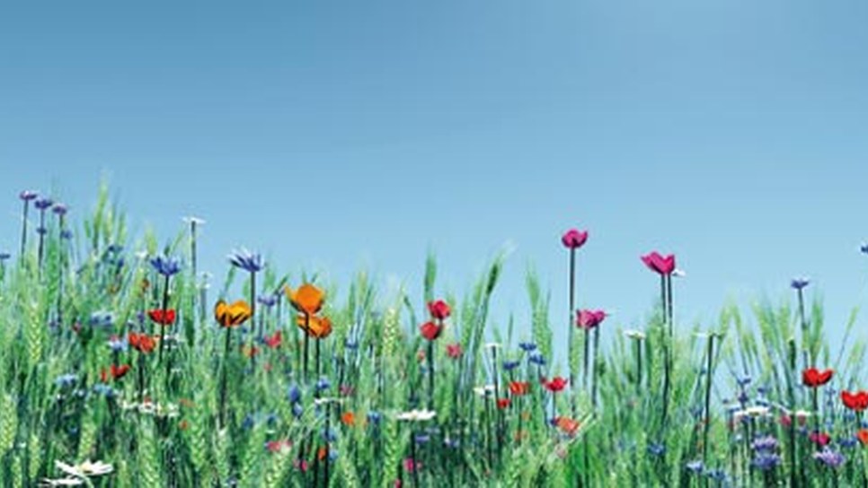 Sommerfrische Festival - Literatur & Film Sommerfrische Festival - Literatur & Film