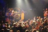 living_colour_12.jpg living_colour_12.jpg