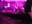 fire-licks-dynamite_4.jpg