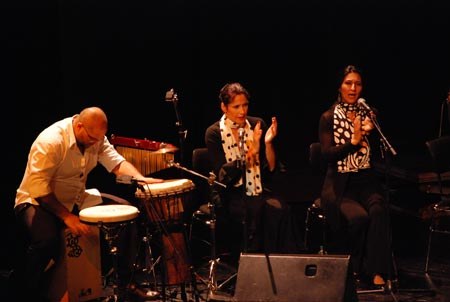 flamenco_2010_kulturhaus_dornbirn_26.jpg