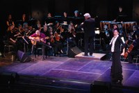 flamenco_2010_kulturhaus_dornbirn_32.jpg