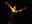 tanz_ist_cuadro_flamenco__12.jpg