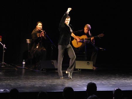 tanz_ist_cuadro_flamenco__16.jpg