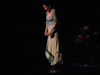 tanz_ist_castanuela_contemporanea_15.jpg