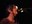 grant_hart_03.jpg
