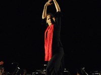 flamencofestival-clasico-espanol_03.jpg