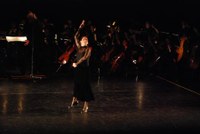 flamencofestival-clasico-espanol_09.jpg