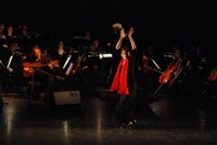 flamencofestival-clasico-espanol_23.jpg