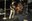 working-pure_03.jpg