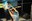 working-pure_14.jpg