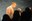 working-pure_16.jpg