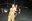 working-pure_19.jpg