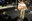 working-pure_21.jpg