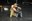 working-pure_23.jpg