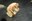 working-pure_26.jpg