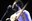 alegre_correa_quartet_18.jpg