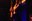 sonofthevelvetrat_01.jpg