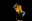 miss_en_abyme_08.jpg