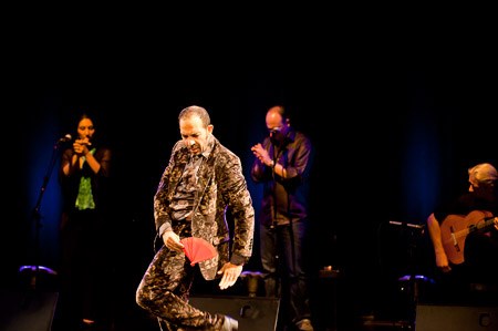 Flamenco 02