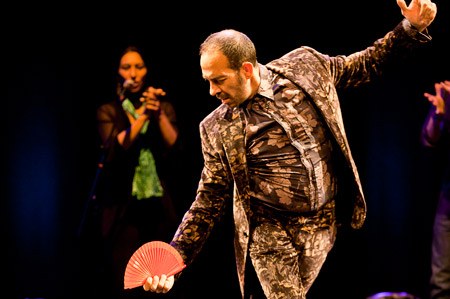 Flamenco 03